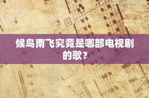 候鸟南飞究竟是哪部电视剧的歌？