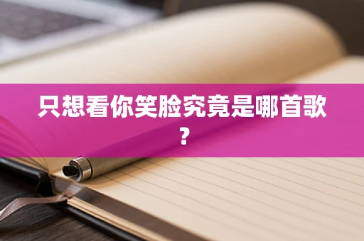只想看你笑脸究竟是哪首歌？