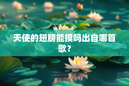 天使的翅膀能摸吗出自哪首歌？