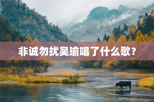 非诚勿扰吴瑜唱了什么歌？