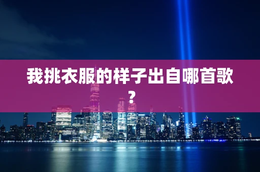 我挑衣服的样子出自哪首歌？