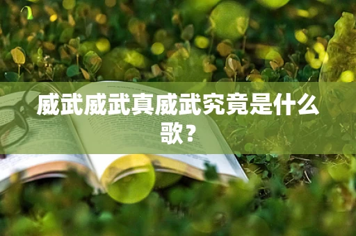 威武威武真威武究竟是什么歌？