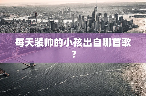 每天装帅的小孩出自哪首歌？