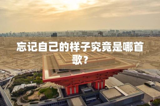 忘记自己的样子究竟是哪首歌？
