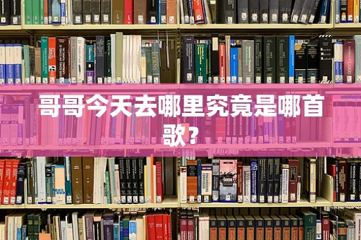 哥哥今天去哪里究竟是哪首歌？