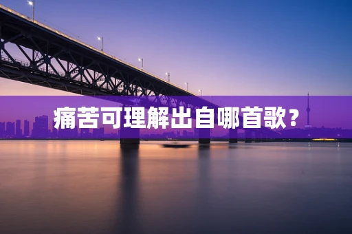 痛苦可理解出自哪首歌？