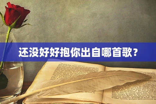 还没好好抱你出自哪首歌？