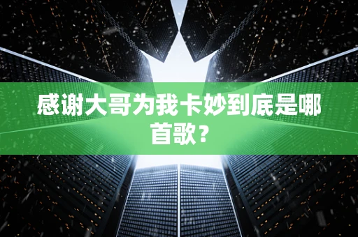 感谢大哥为我卡妙到底是哪首歌？
