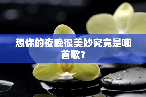 想你的夜晚很美妙究竟是哪首歌？