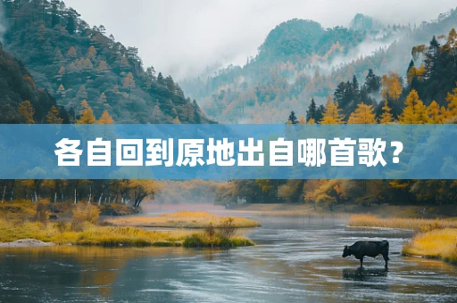 各自回到原地出自哪首歌？