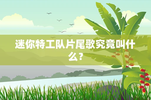 迷你特工队片尾歌究竟叫什么？
