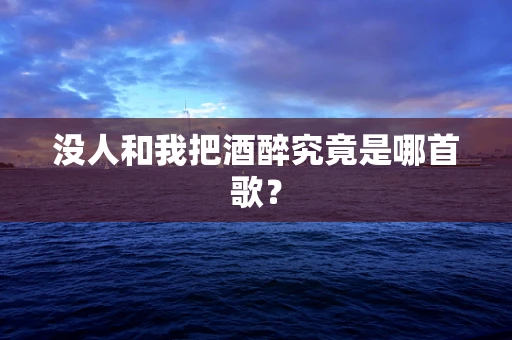 没人和我把酒醉究竟是哪首歌？