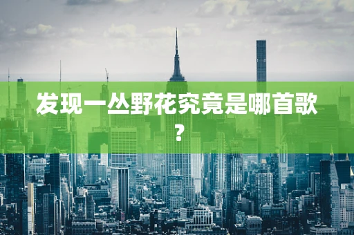 发现一丛野花究竟是哪首歌？