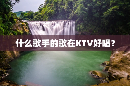 什么歌手的歌在KTV好唱？