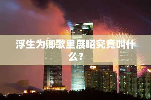 浮生为卿歌里展昭究竟叫什么？