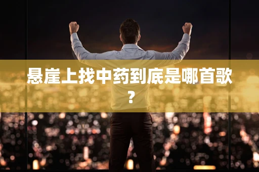 悬崖上找中药到底是哪首歌？