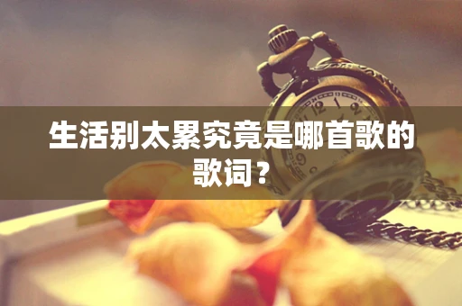 生活别太累究竟是哪首歌的歌词？
