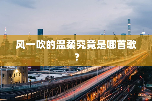 风一吹的温柔究竟是哪首歌？