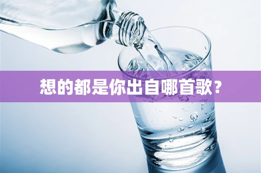 想的都是你出自哪首歌？