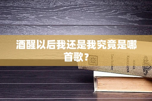 酒醒以后我还是我究竟是哪首歌？