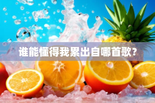 谁能懂得我累出自哪首歌？