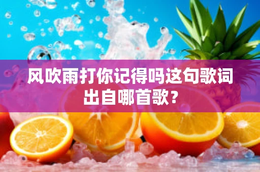 风吹雨打你记得吗这句歌词出自哪首歌？