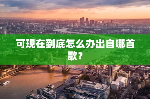 可现在到底怎么办出自哪首歌？