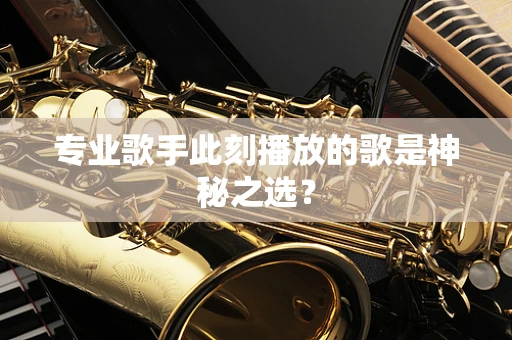 专业歌手此刻播放的歌是神秘之选？