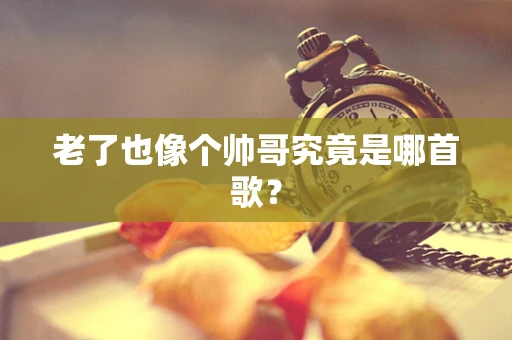 老了也像个帅哥究竟是哪首歌？