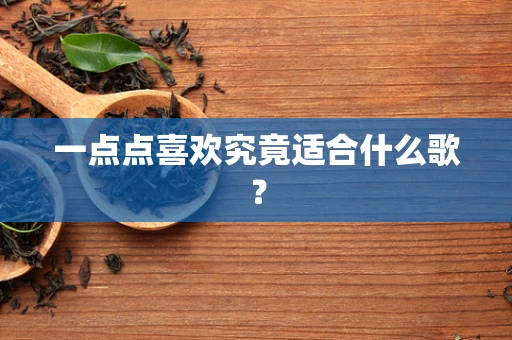 一点点喜欢究竟适合什么歌？