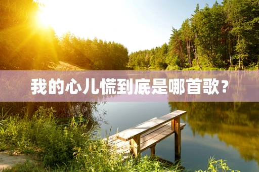 我的心儿慌到底是哪首歌？