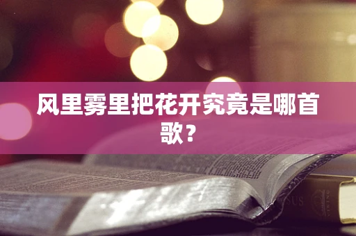 风里雾里把花开究竟是哪首歌？
