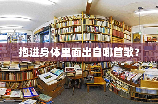 抱进身体里面出自哪首歌？