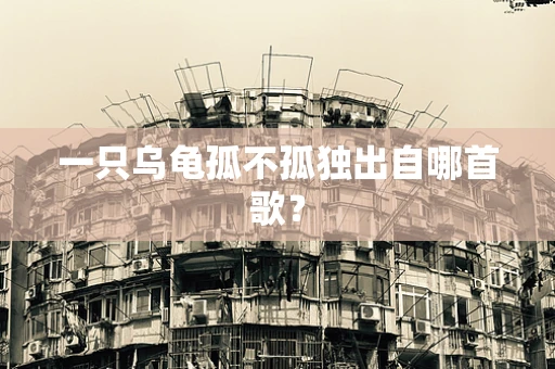 一只乌龟孤不孤独出自哪首歌？