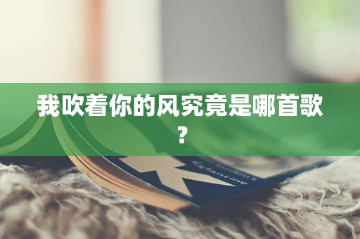 我吹着你的风究竟是哪首歌？