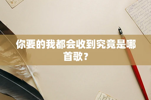 你要的我都会收到究竟是哪首歌？