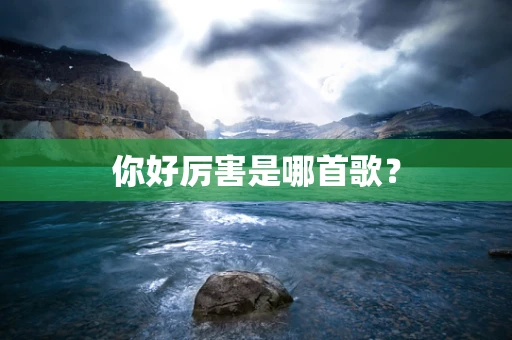 你好厉害是哪首歌？