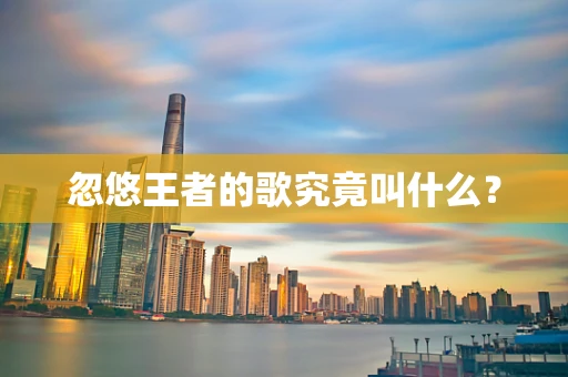 忽悠王者的歌究竟叫什么？