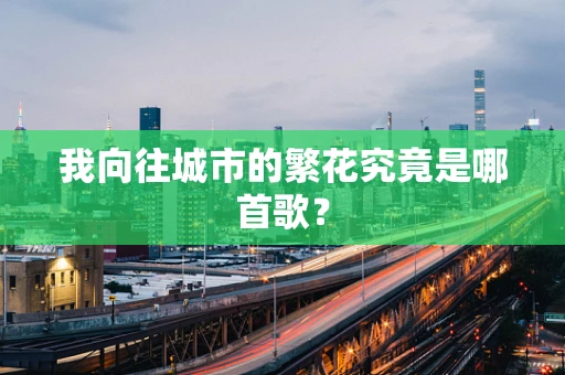 我向往城市的繁花究竟是哪首歌？
