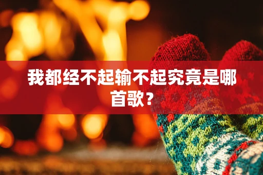 我都经不起输不起究竟是哪首歌？