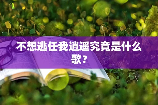 不想逃任我逍遥究竟是什么歌？