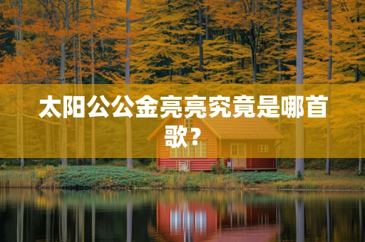 太阳公公金亮亮究竟是哪首歌？