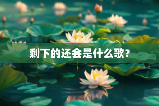 剩下的还会是什么歌？