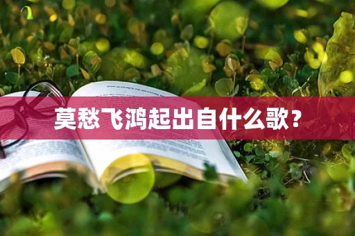 莫愁飞鸿起出自什么歌？