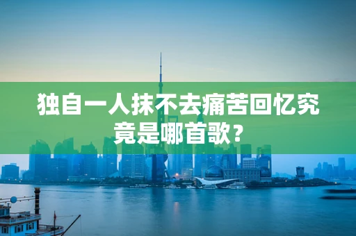独自一人抹不去痛苦回忆究竟是哪首歌？
