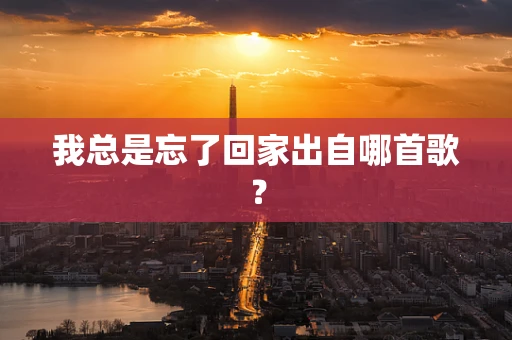 我总是忘了回家出自哪首歌？