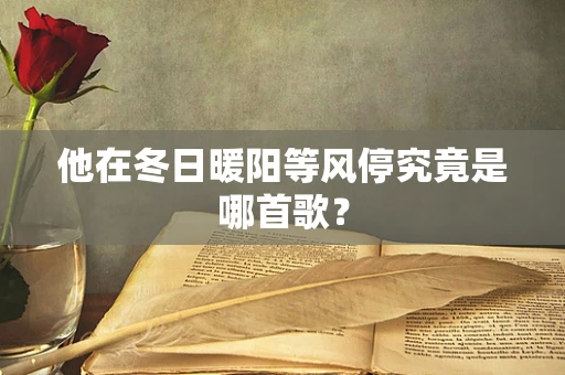 他在冬日暖阳等风停究竟是哪首歌？