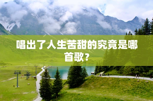 唱出了人生苦甜的究竟是哪首歌？