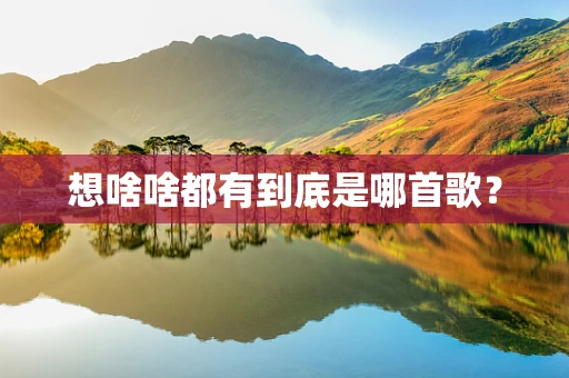 想啥啥都有到底是哪首歌？