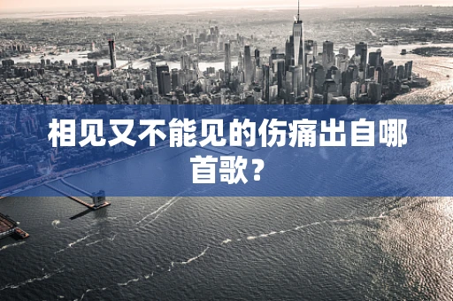 相见又不能见的伤痛出自哪首歌？